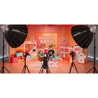 Godox Litemons LE300Bi Bi-Color LED-Leuchte – Schwarz
