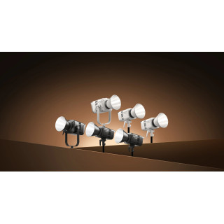 Godox Litemons LE300Bi Bi-Color LED-lamp – zwart