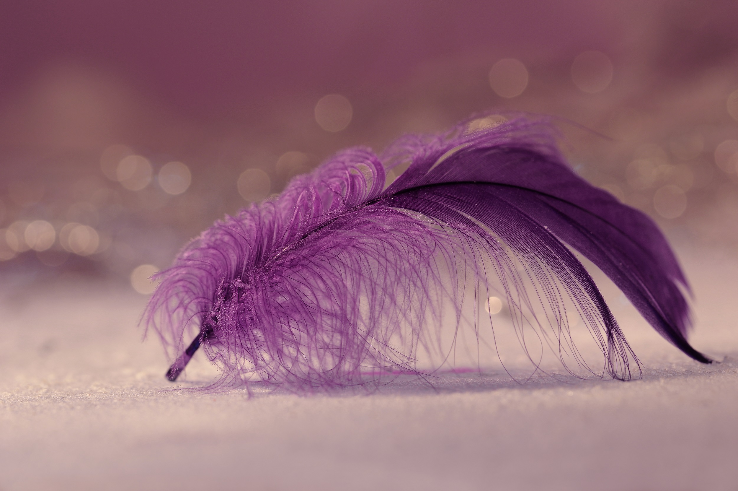 irix-150mm-f2-8-macro-by-iwona-sikorska-44.jpg