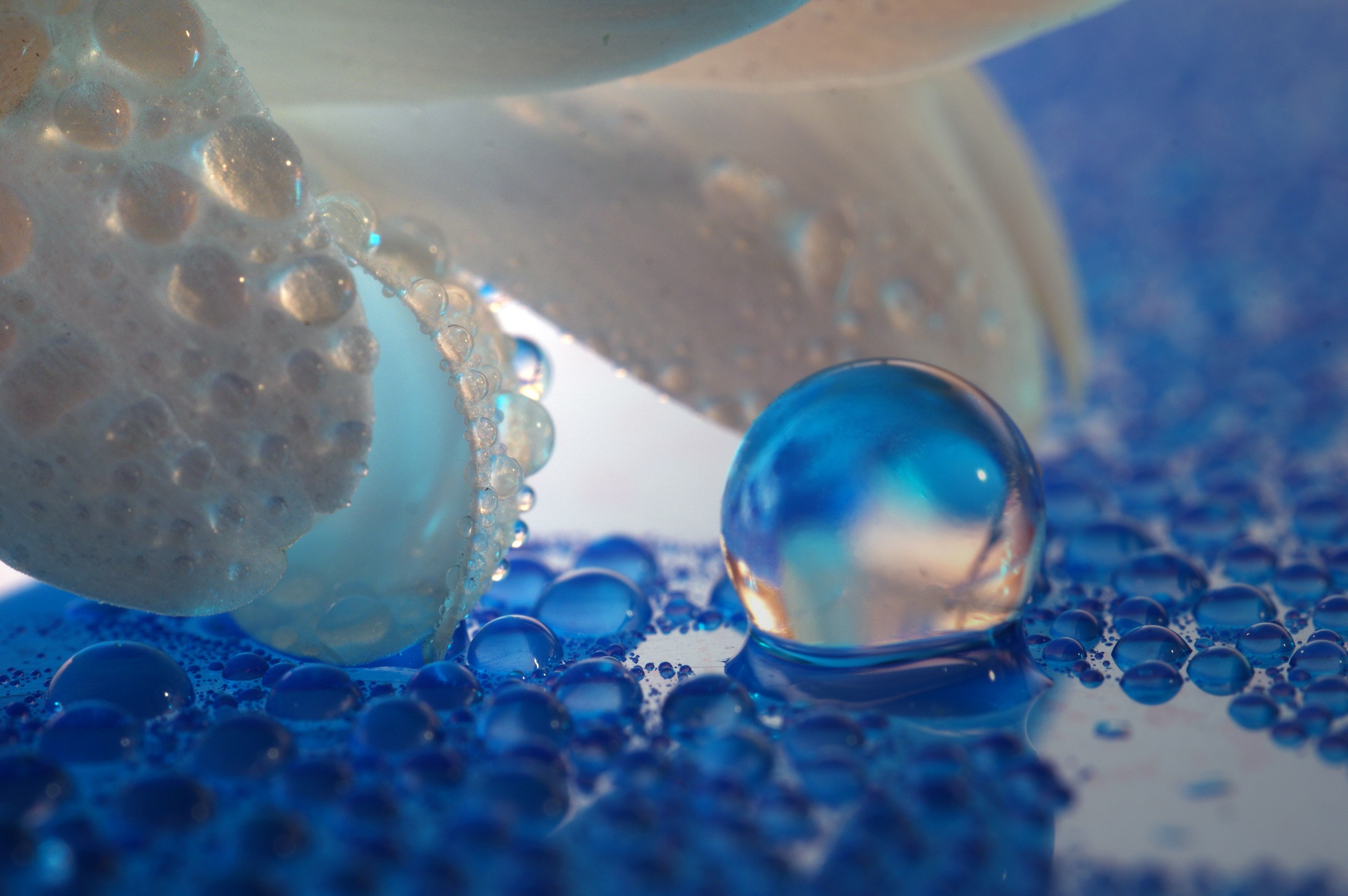 irix-150mm-f2-8-macro-by-iwona-sikorska-70.jpg